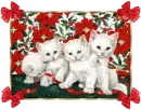 Kittens