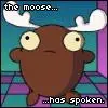 Fear the moose!