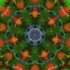 Kaleidoscope