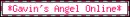 Gavin's Angel