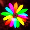colorful Flower
