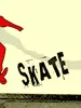 Skate Board
