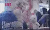 Raving Rabbits