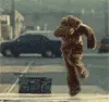 Bear Break Dancing