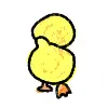 Chick