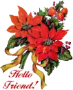 Poinsettias Greeting