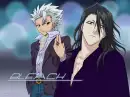 Bleach Cap 10 and 6