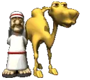 Camel And Arab 