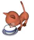 Kitty