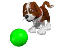 Puppy 