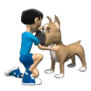 Boxer Dog 