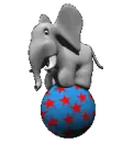 Cartoon Elephant 