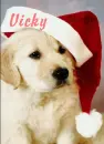 Vicky Puppy