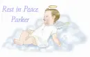 Baby angel on cloud with Parker name