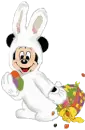 mickey 