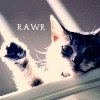 Rawr