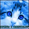 young cat