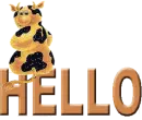 hello