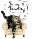 tuesday