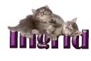 ingrid