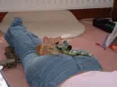 Sniper kitty