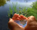 Reflection