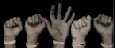 The Black Parade