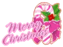 Candy Cane Pink - Merry Christmas