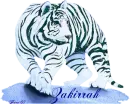 White tiger - Zakirrah