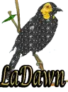ladawn