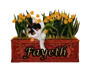 fayeth