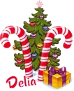candycane tree, Delia