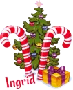 candycane tree, Ingrid