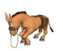 Donkey Kicking 