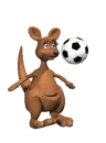 Kangaroo