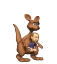 Kangaroo