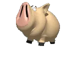 Oinker Running 