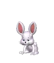 Bunny Crazy 