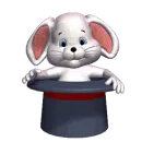 Rabbit Relaxing In Hat