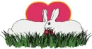 Rabbit Toon Heart