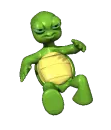 Turtle Stuck 