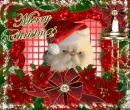 MERRY CHRISTMAS