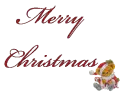 Merry Christmas Bear