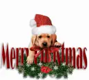 Merry X-mas