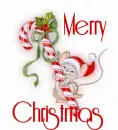 Merry X-mas