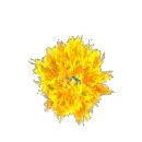 Bang 2009
