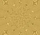 GIF 4