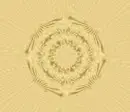 GIF 5