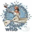 wish