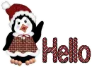 Hello
